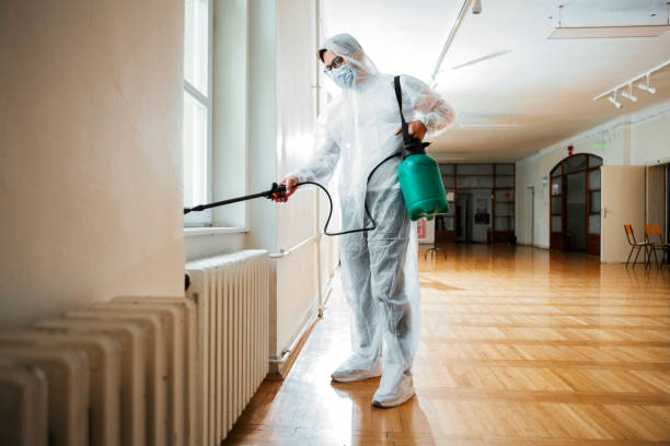 Best Pest Removal Services  in Alameda, CA